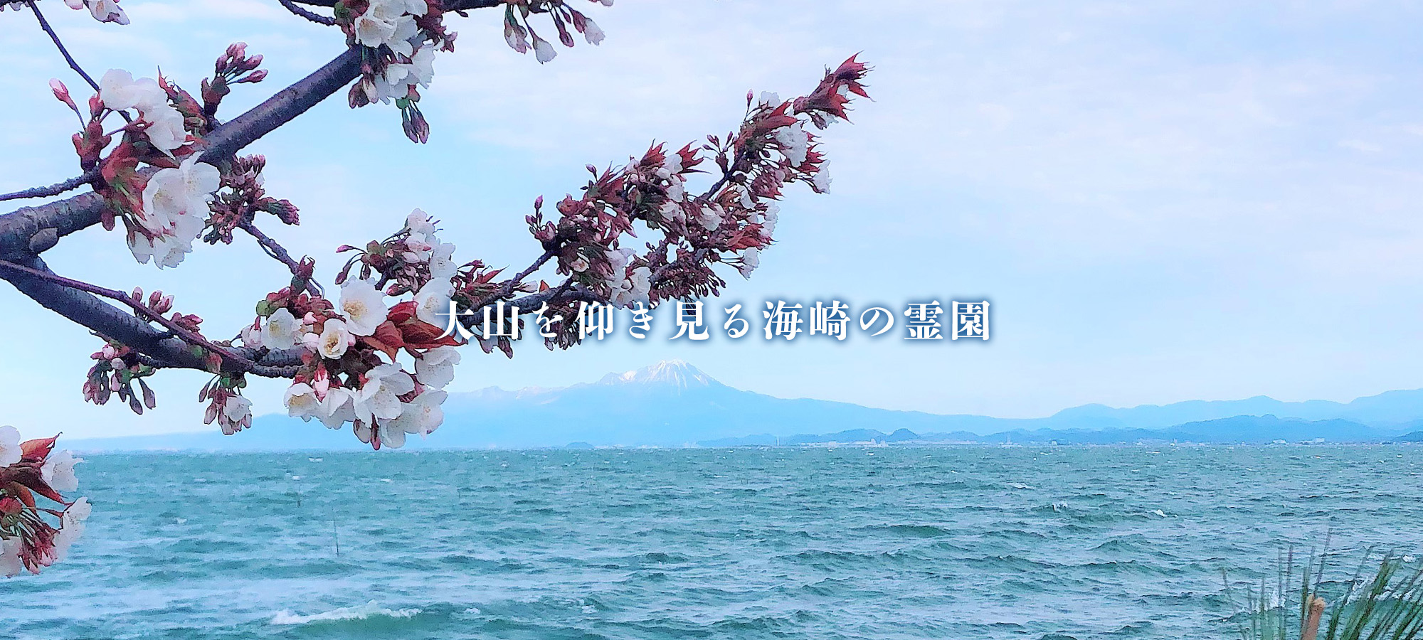 大山を仰ぎ見る海崎の霊園